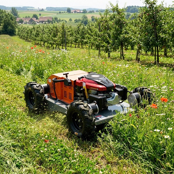 tondeuse rc à vendre