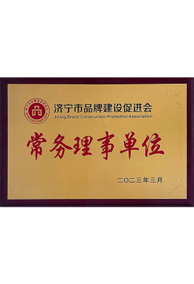 Membre du Conseil permanent de l'Association pour la promotion du développement de la marque Jining